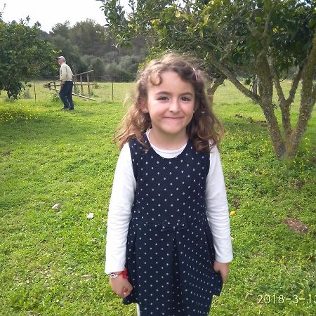 Agroturismo Sa Vall Son Macia  Екстериор снимка